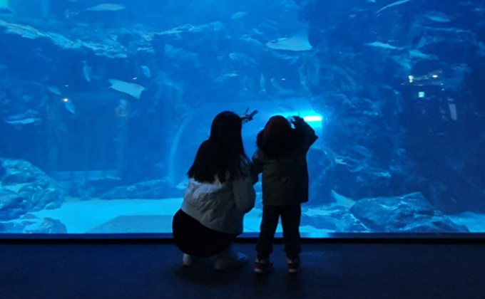 l017-goyang-aqua-planet-ilsan 02