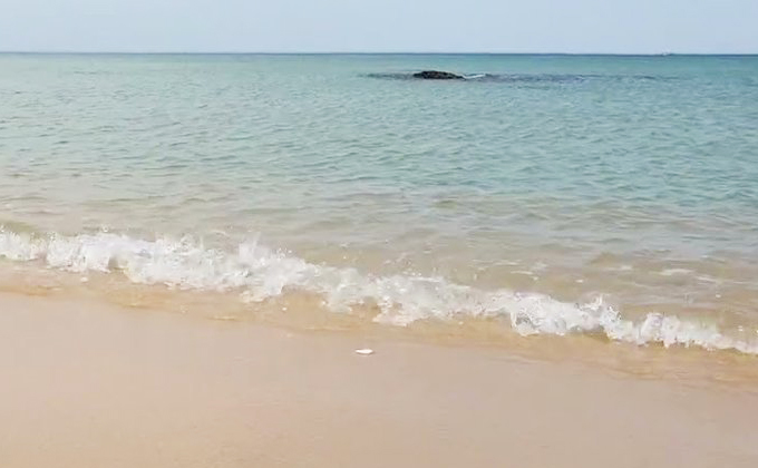 l025-gangneung-bts-bus-stop-hyangho-beach 02