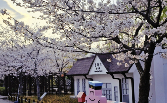 l094-jinhae-gyeonghwa-station-cherry-blossom-street 01